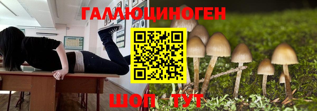 где найти наркотики  Вход с VPN  Луховицы  Галлюциногенные грибы Magic Shrooms 